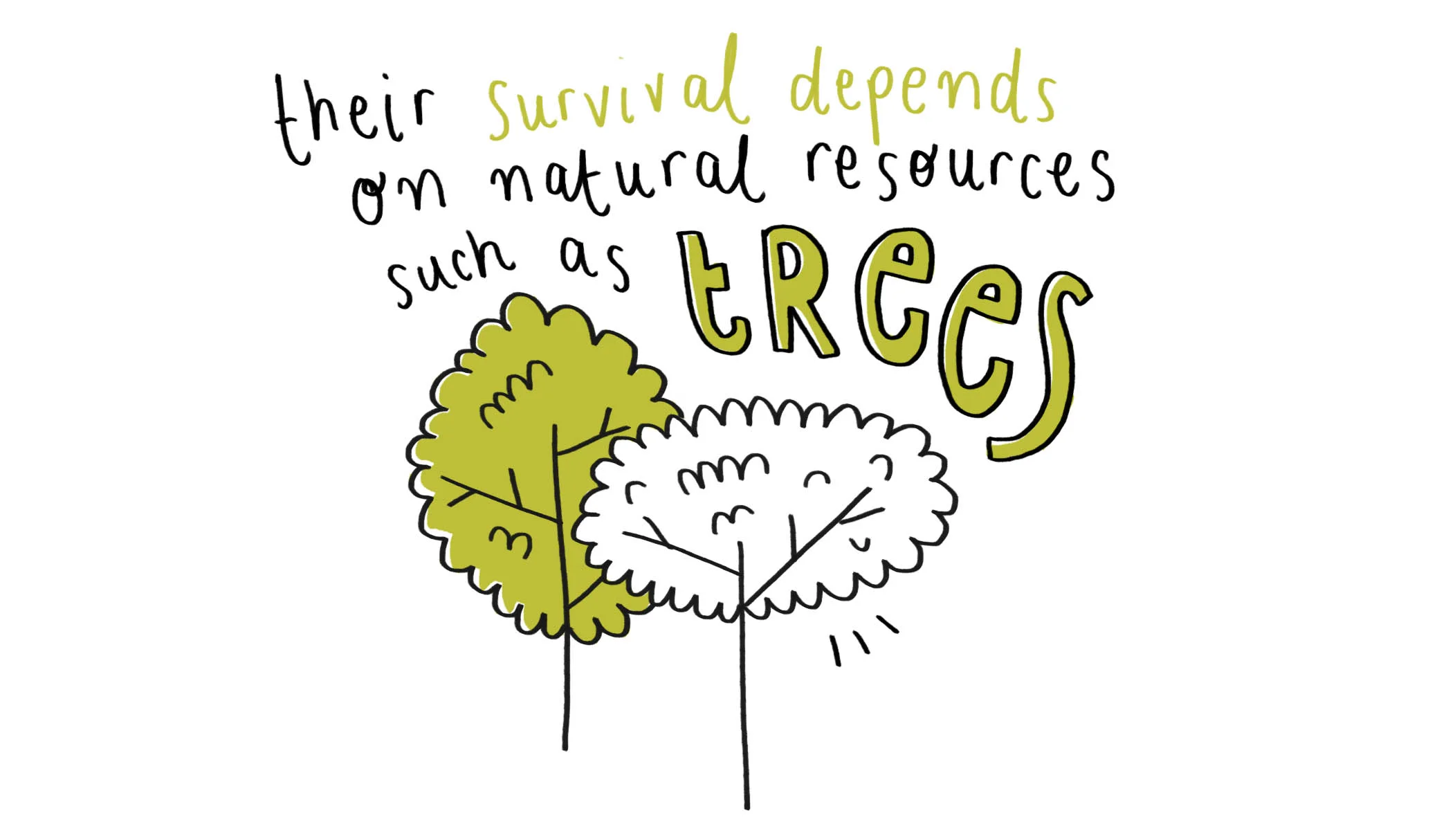 4 - Trees.jpg