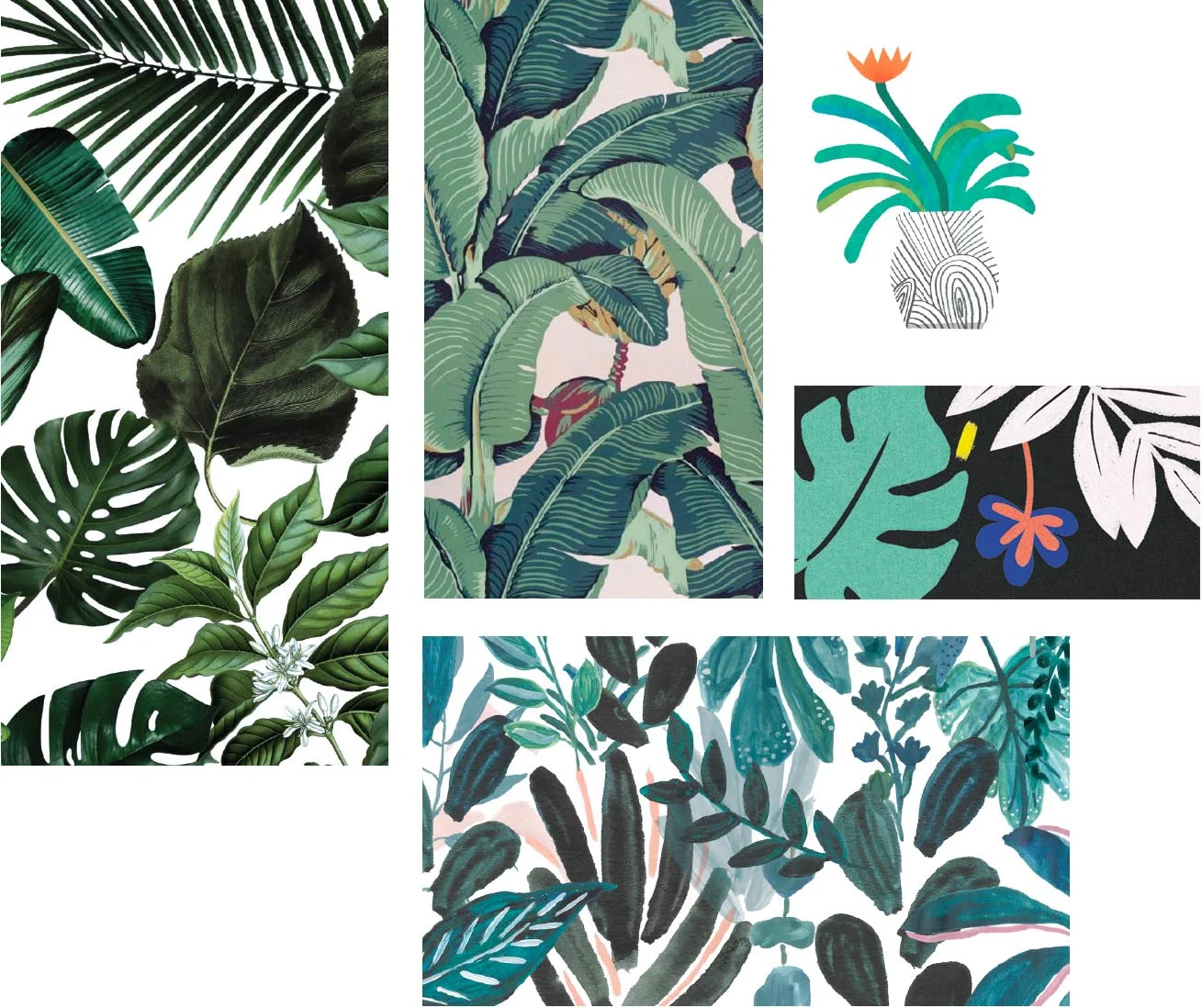Tropical Trend.jpg