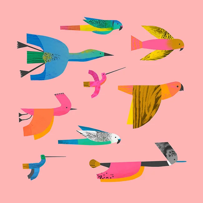Birds+by+Natasha+Durley.jpg
