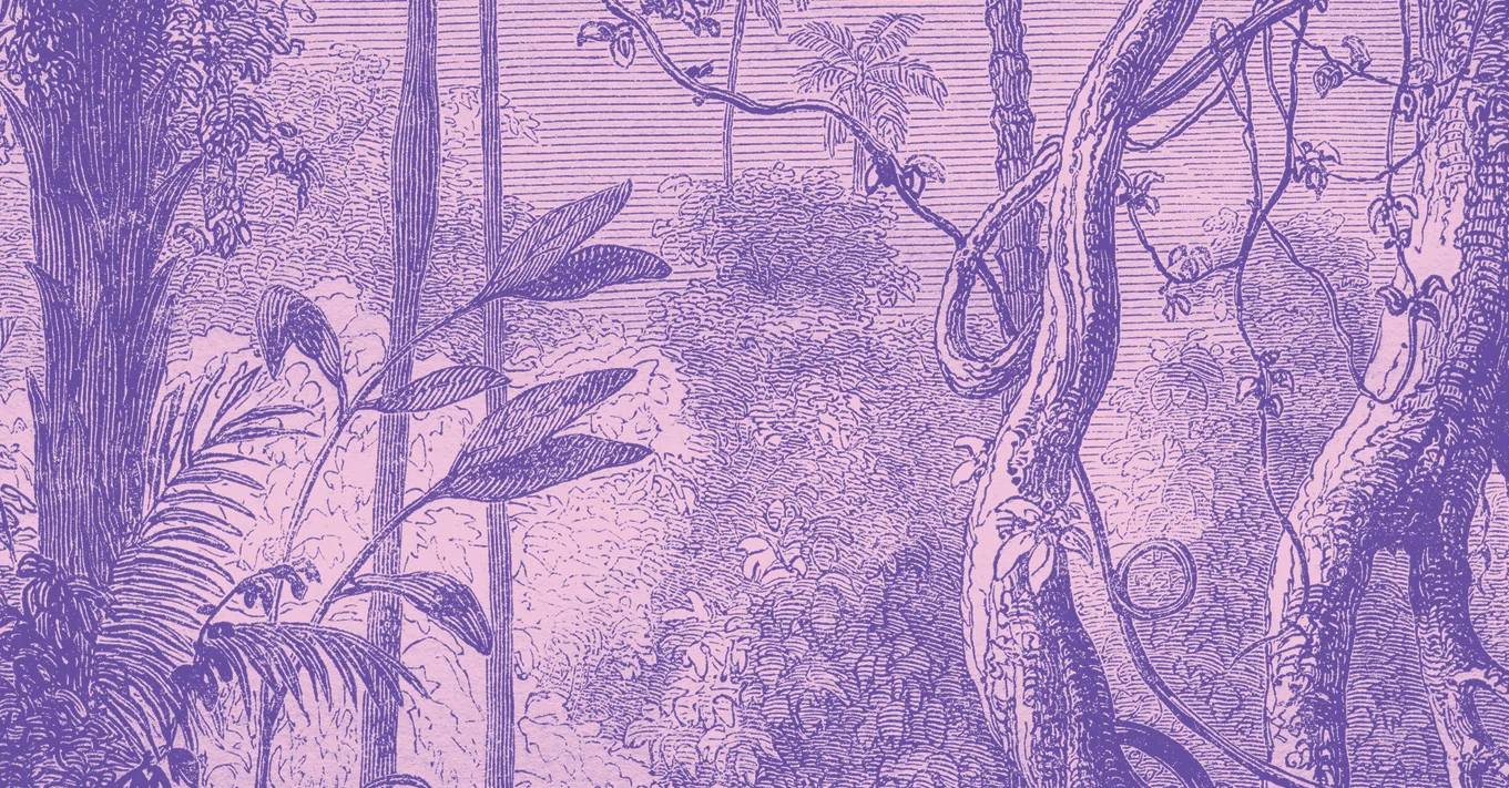 Banner.jpg