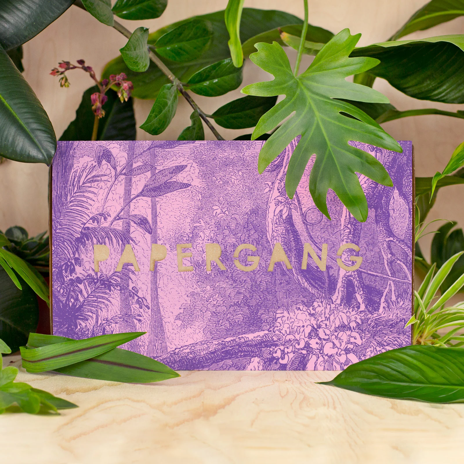 Papergang January Launch Shot.jpg