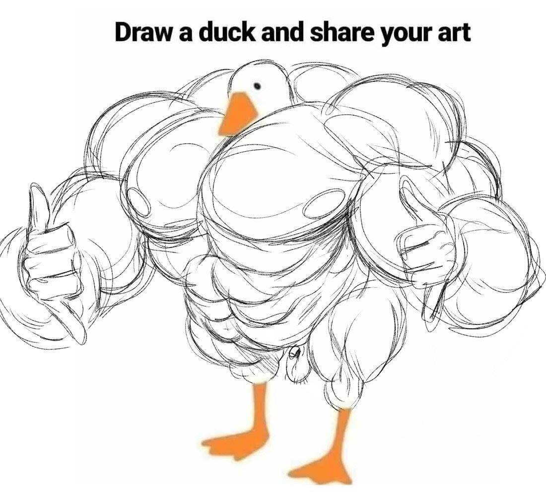Featured image of post Draw A Duck And Share Your Art Anime A place where animators and animation fans can share discuss and create content