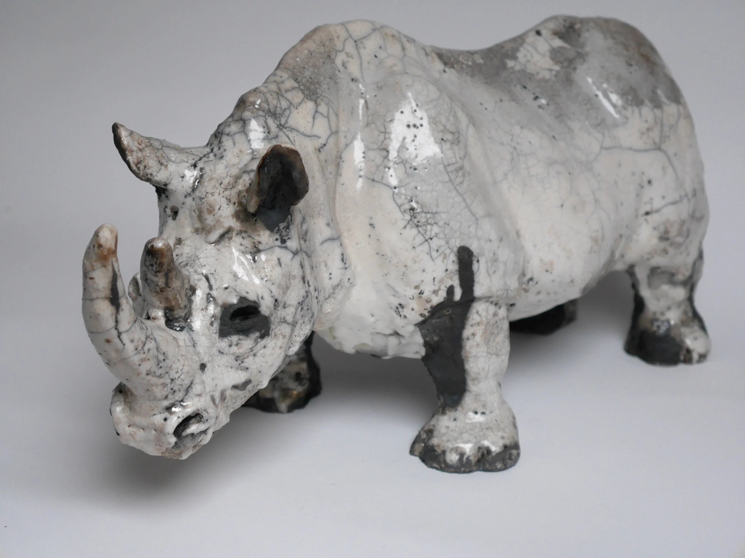 Rhino Large.jpg
