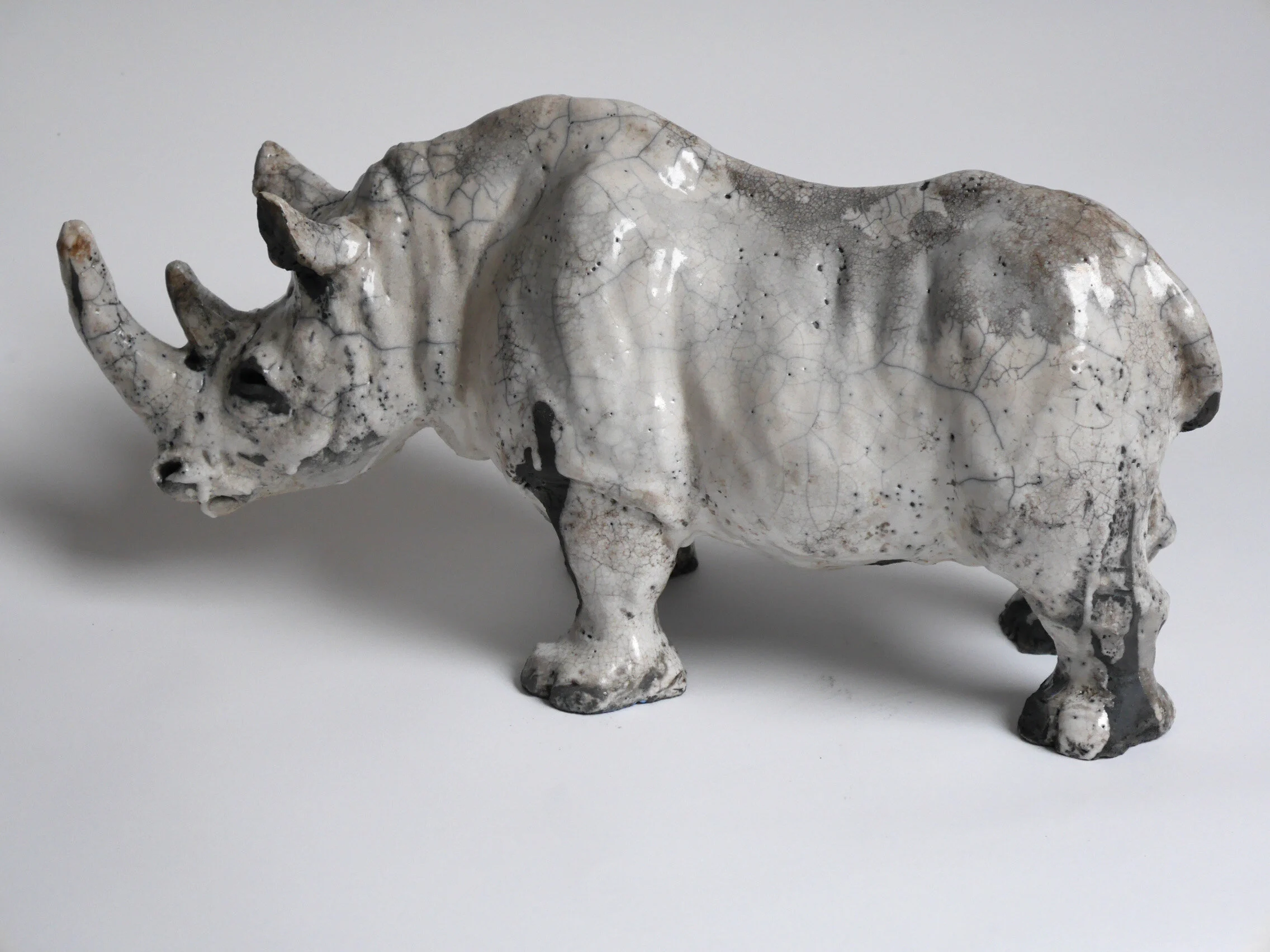 Rhino sideview19.jpg