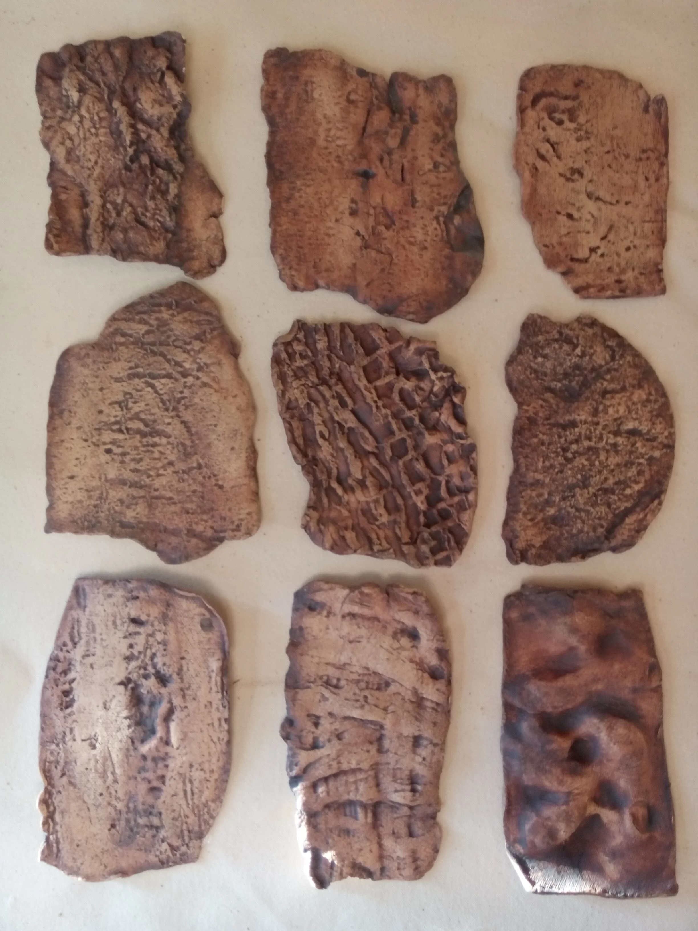 a different kind of bark .jpg