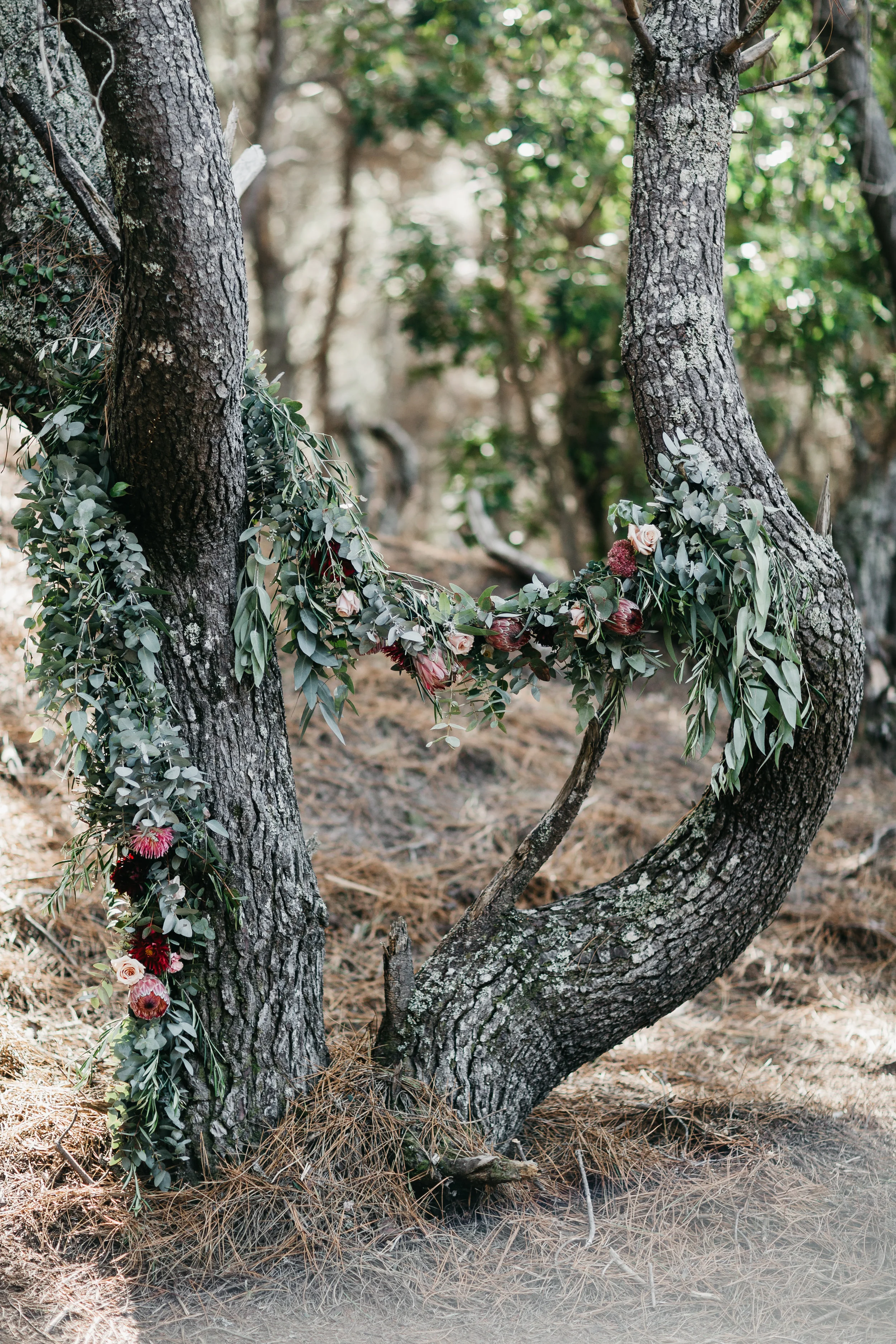 Rachel Soh Photography