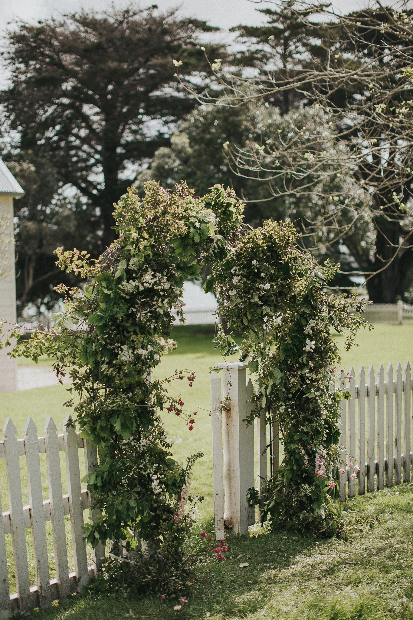 Samantha Donaldson Photography