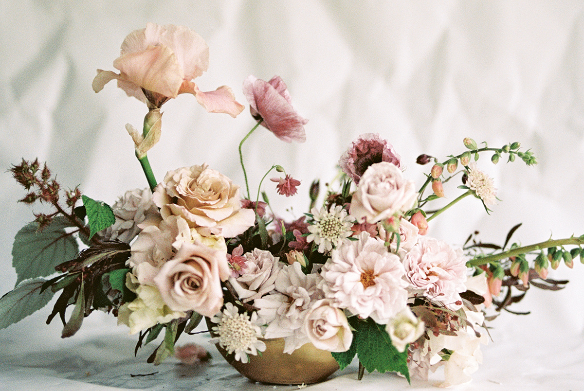 Tess Comrie Photography