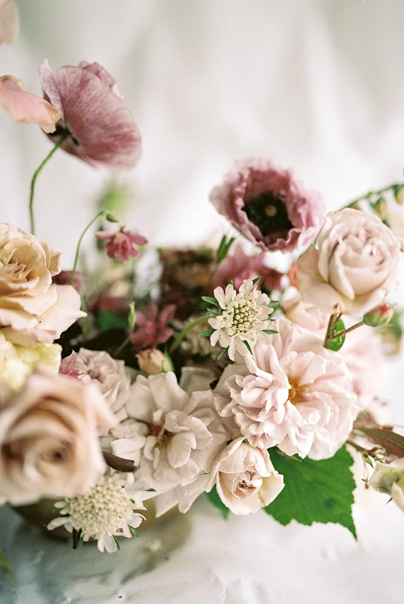 Tess Comrie Photography