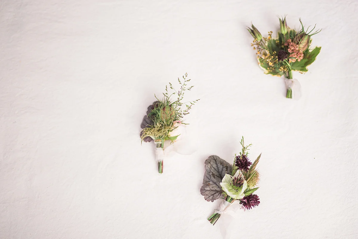 Tess Comrie photography