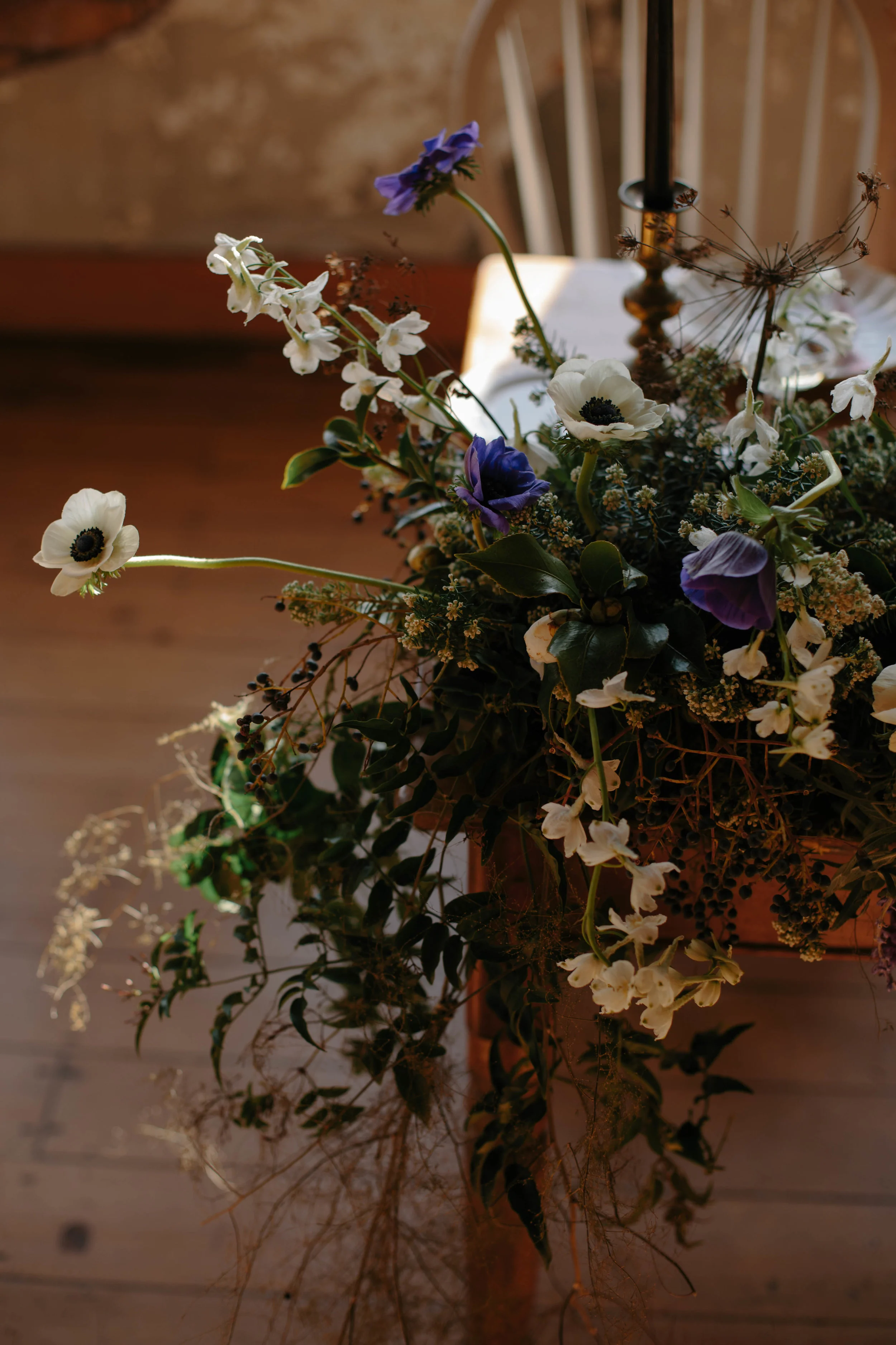 Moonflower photography