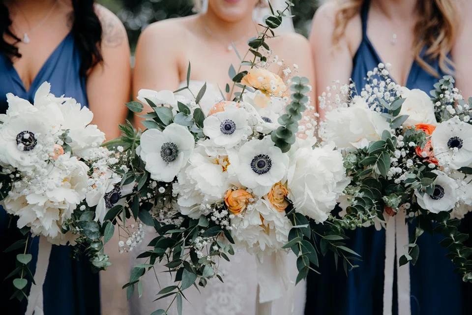 Haley Adele Photography