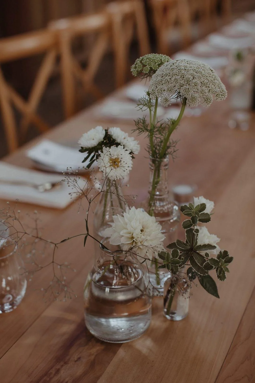 Wild and Grace photography