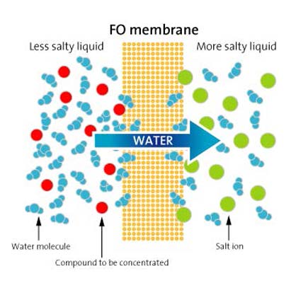 forward-osmosis.jpg