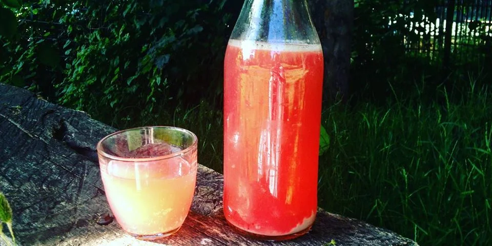 The perfect way to kick start the summer holidays is by learning something new! The skills you'll pick up on this two- hour crash course in fermentation will stay with you over the summer and beyond. Learn how to make sourdough pancakes, the most am…