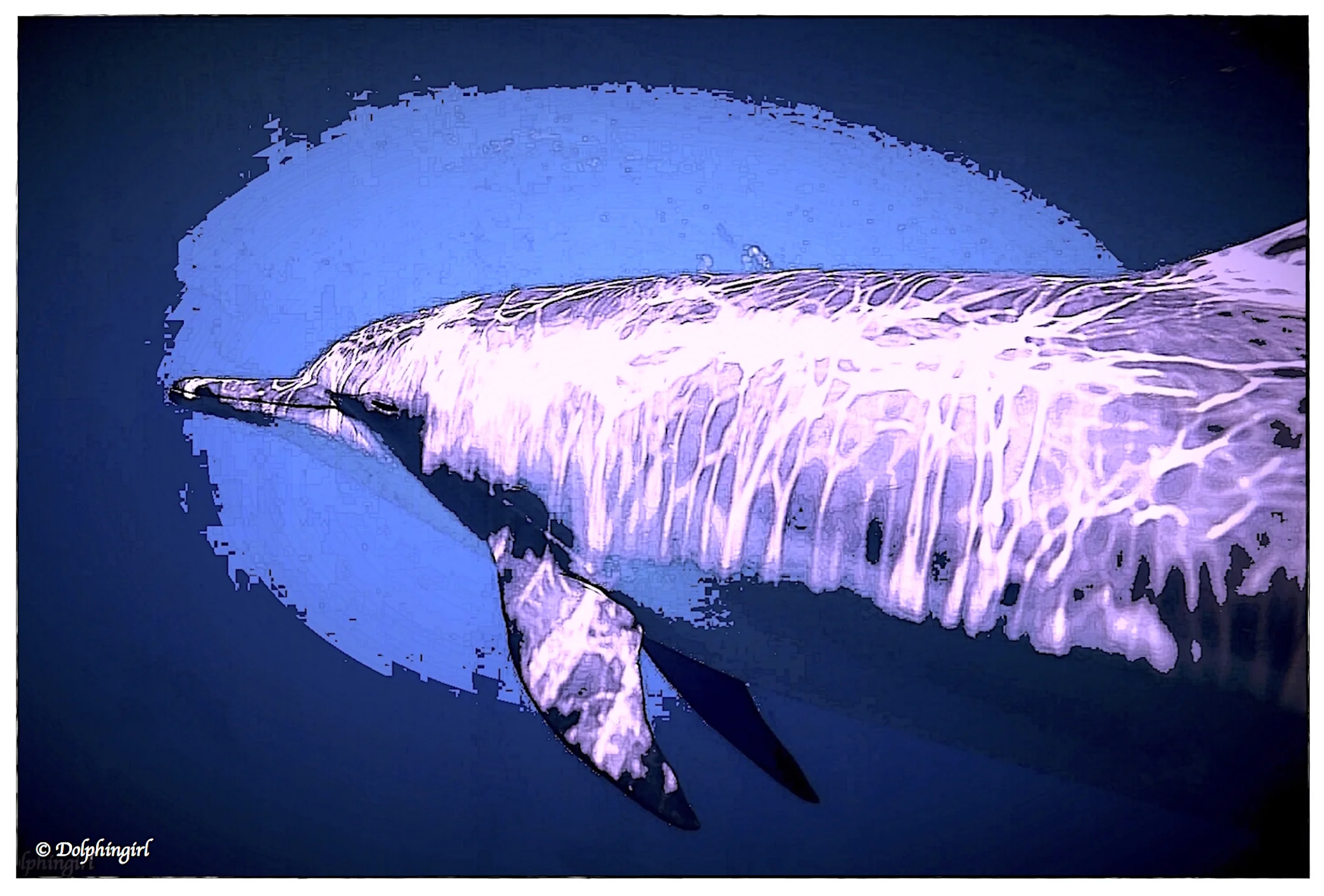 DolphinArtPrinceSignEMAIL.jpg