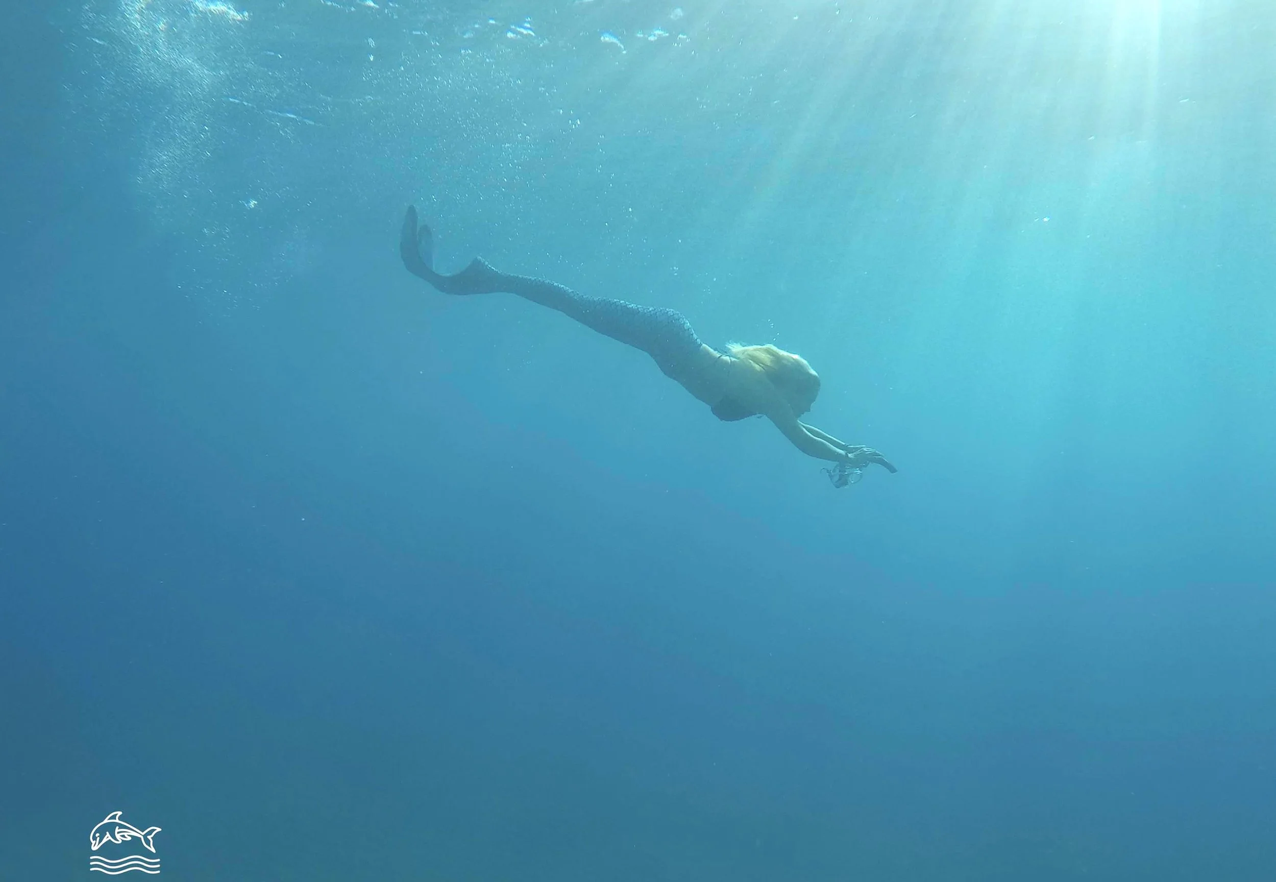 ©DolphingirlDiveSEASignCrop.jpeg