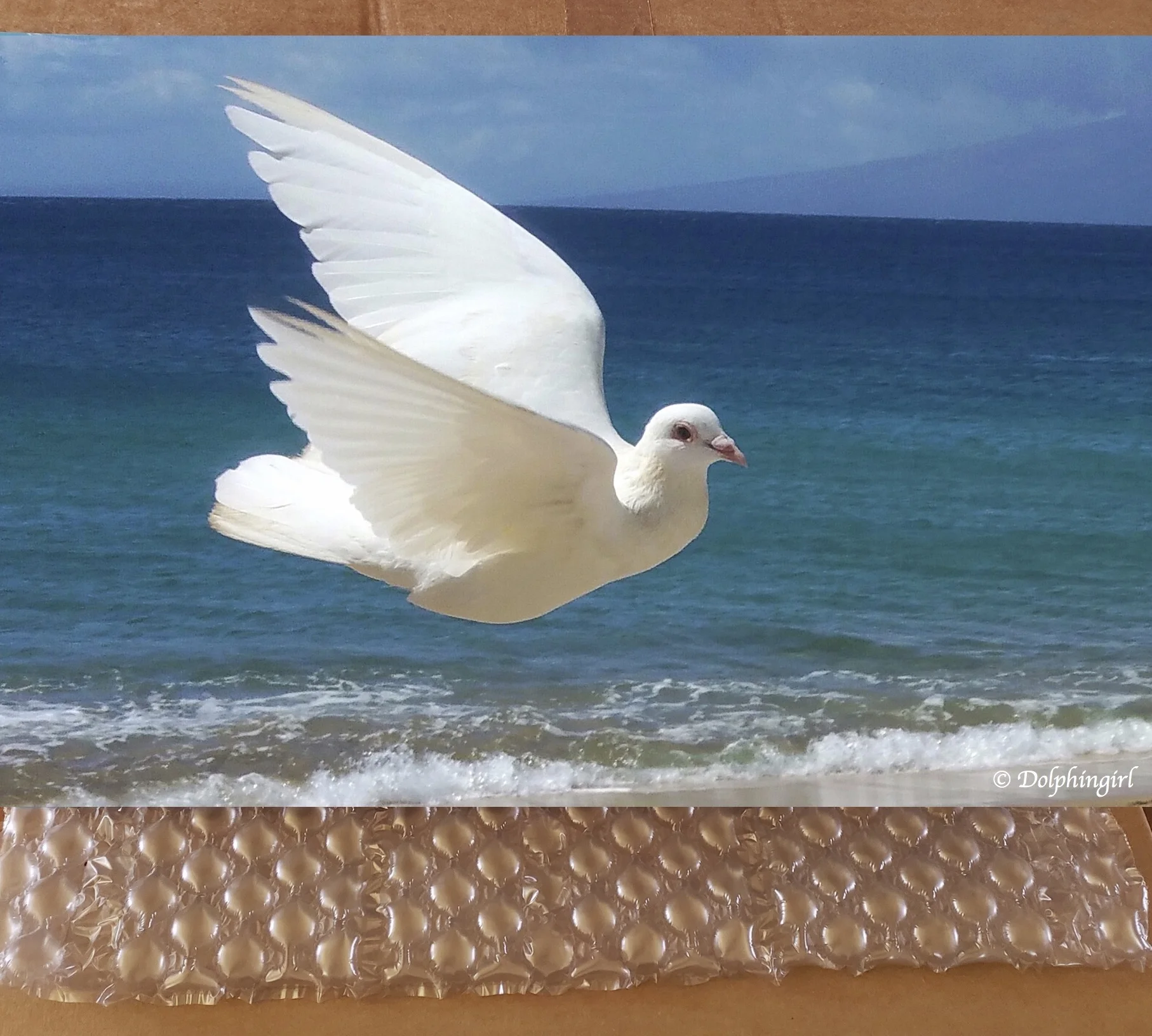 MetalPrintEBayFloatingFree.jpg