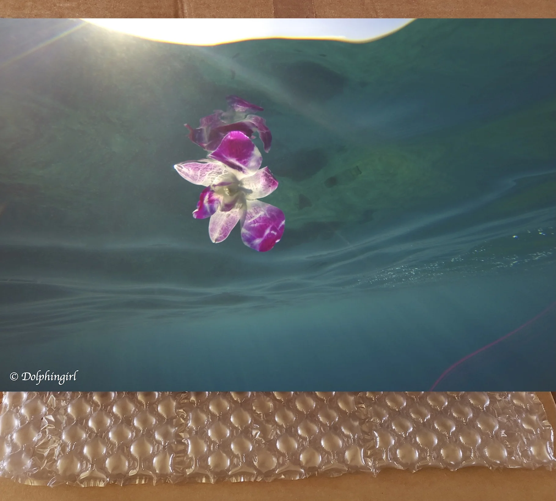 METAL #33 ~ "Ocean Flower"