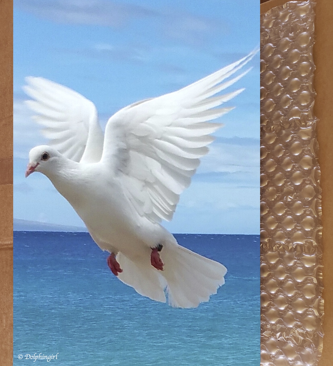 METAL #40 ~ "Believe"