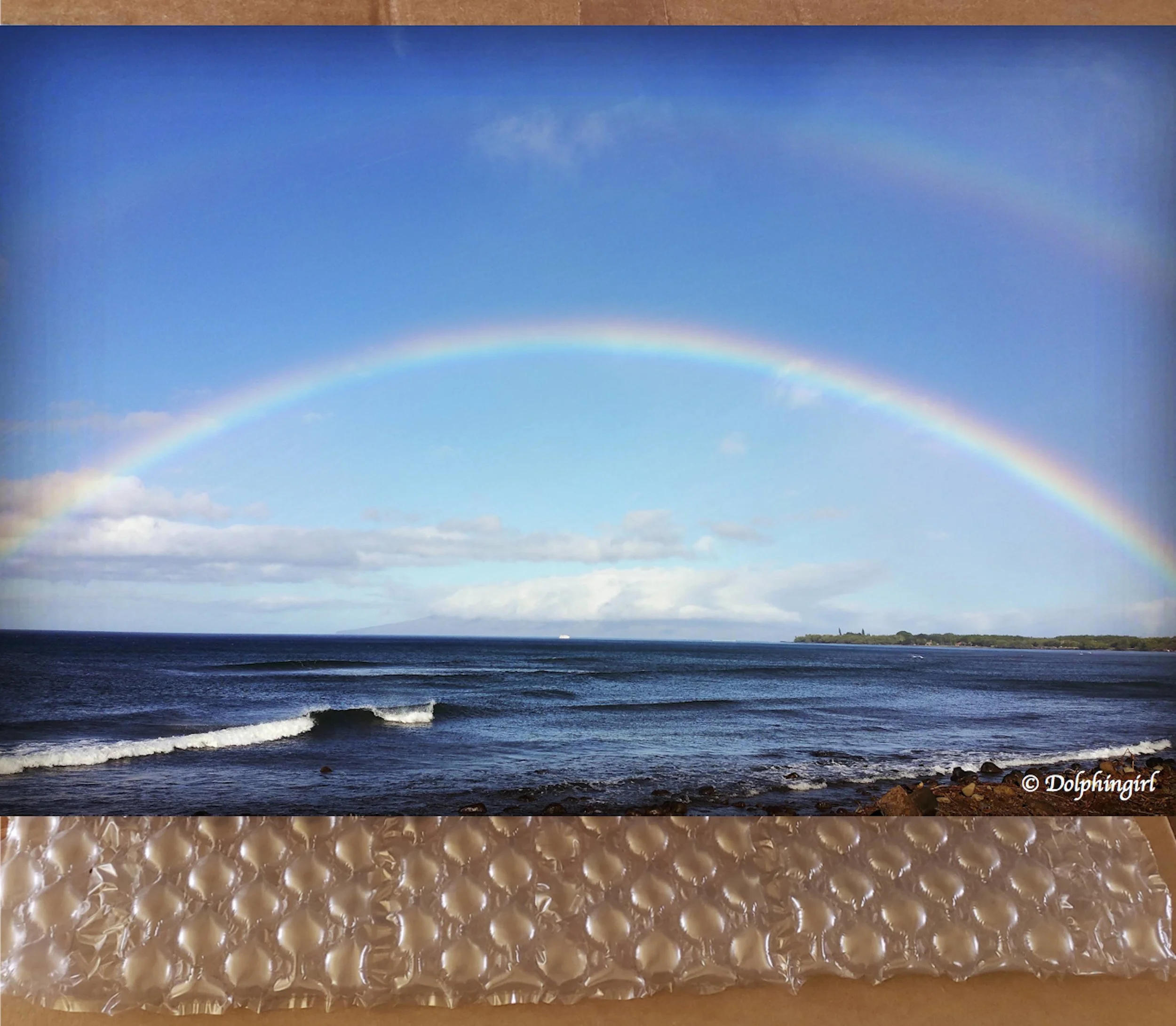 METAL #46 ~ "Double Rainbow"