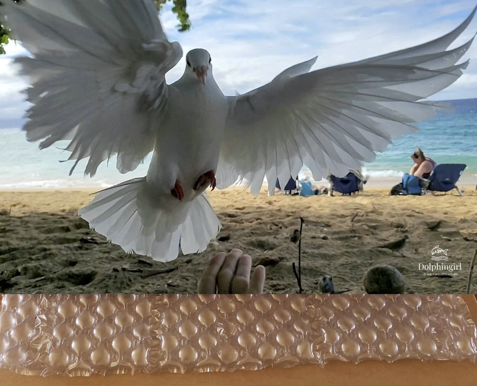 METAL #50 ~ "Dove Sign"