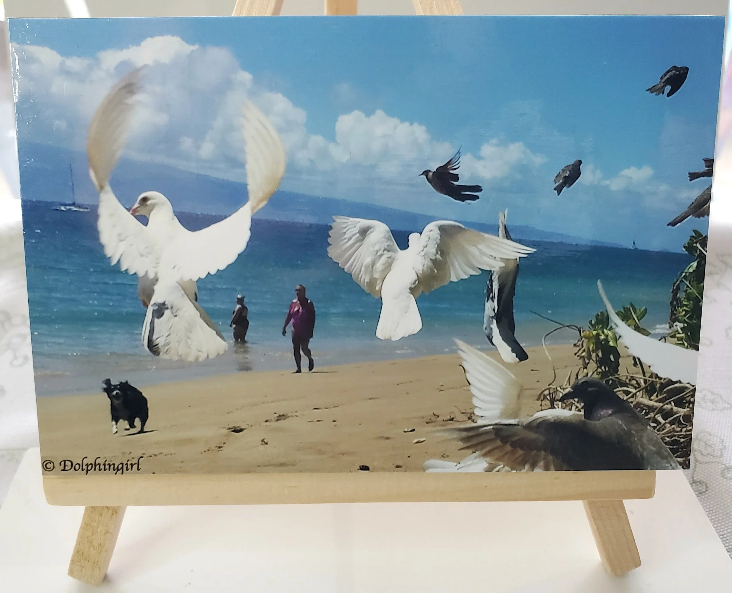 MINI #C ~ "Amazing Doves"