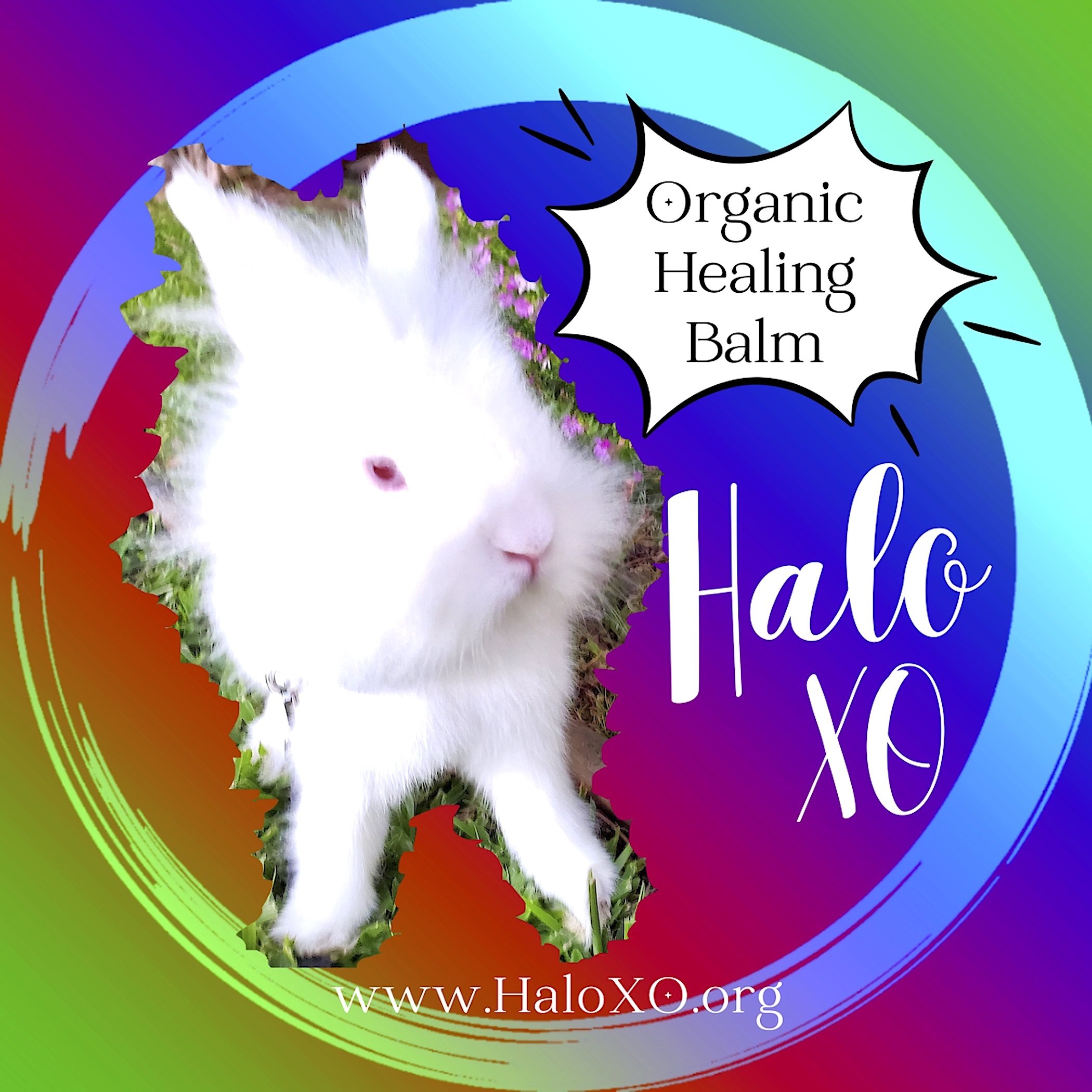 HaloXOBalm.jpg