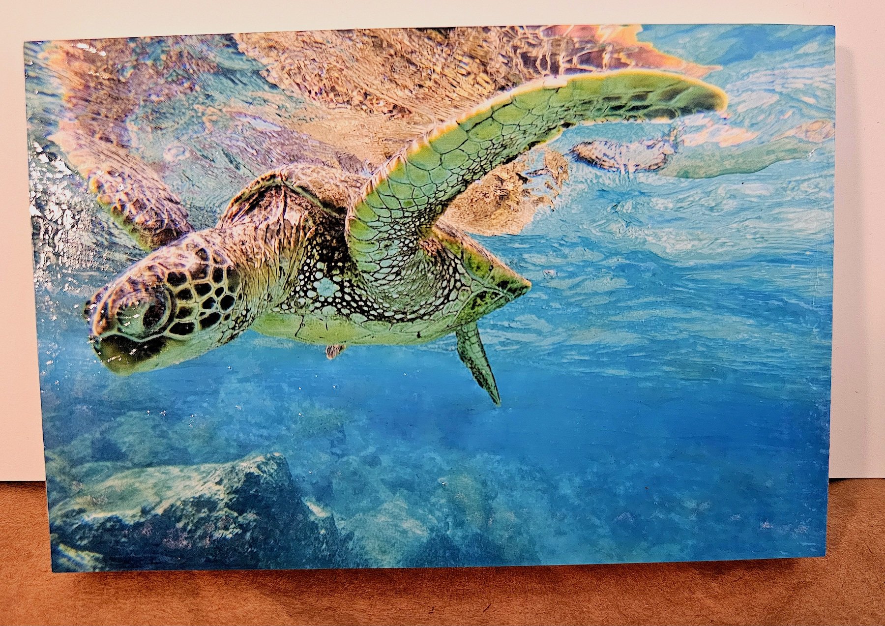 Day#15HonuArtDIVE.jpg