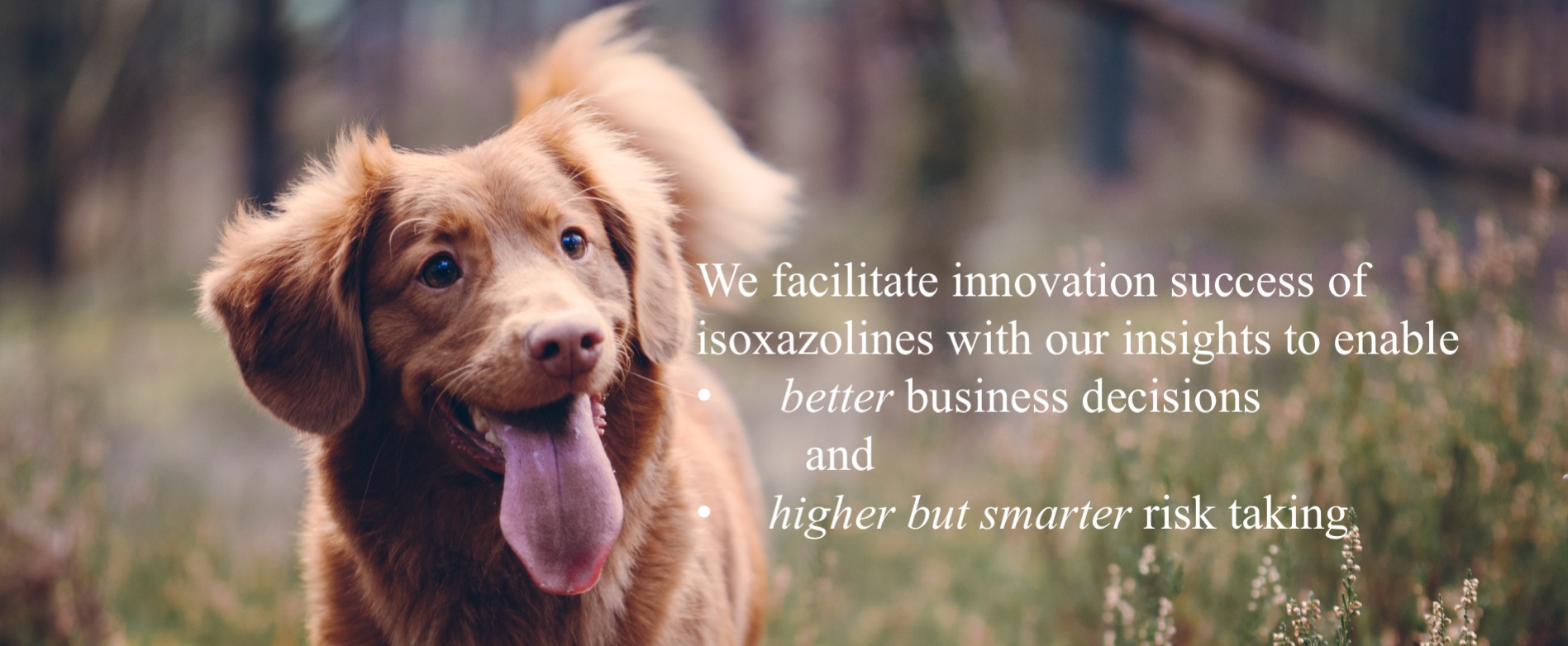 My+Dog+20190315.jpg