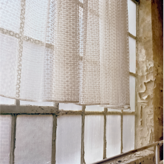    Untitled #112 Wittenberg,  2023                            ‍                                                                             C-print, 20.2 × 20.2 cm  From the series  Fremde Schönheit  (2015– ) and  Sentimental Geography  (2019– ) 