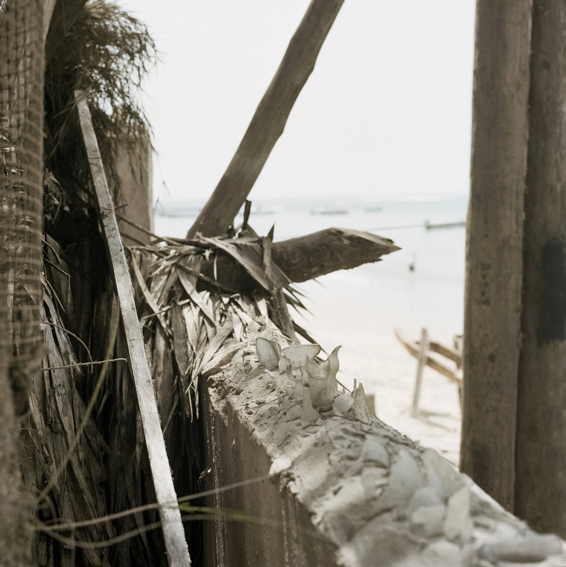    Untitled #107 Dakar,  2023                            ‍                                                                             C-print, 20.2 × 20.2 cm                                                                                From the ser