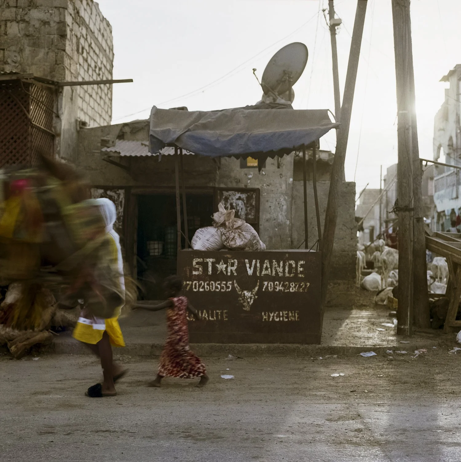    Untitled #145 Saint-Louis,  2023                            ‍                                                                             C-print, 20.2 × 20.2 cm                                                                                From t