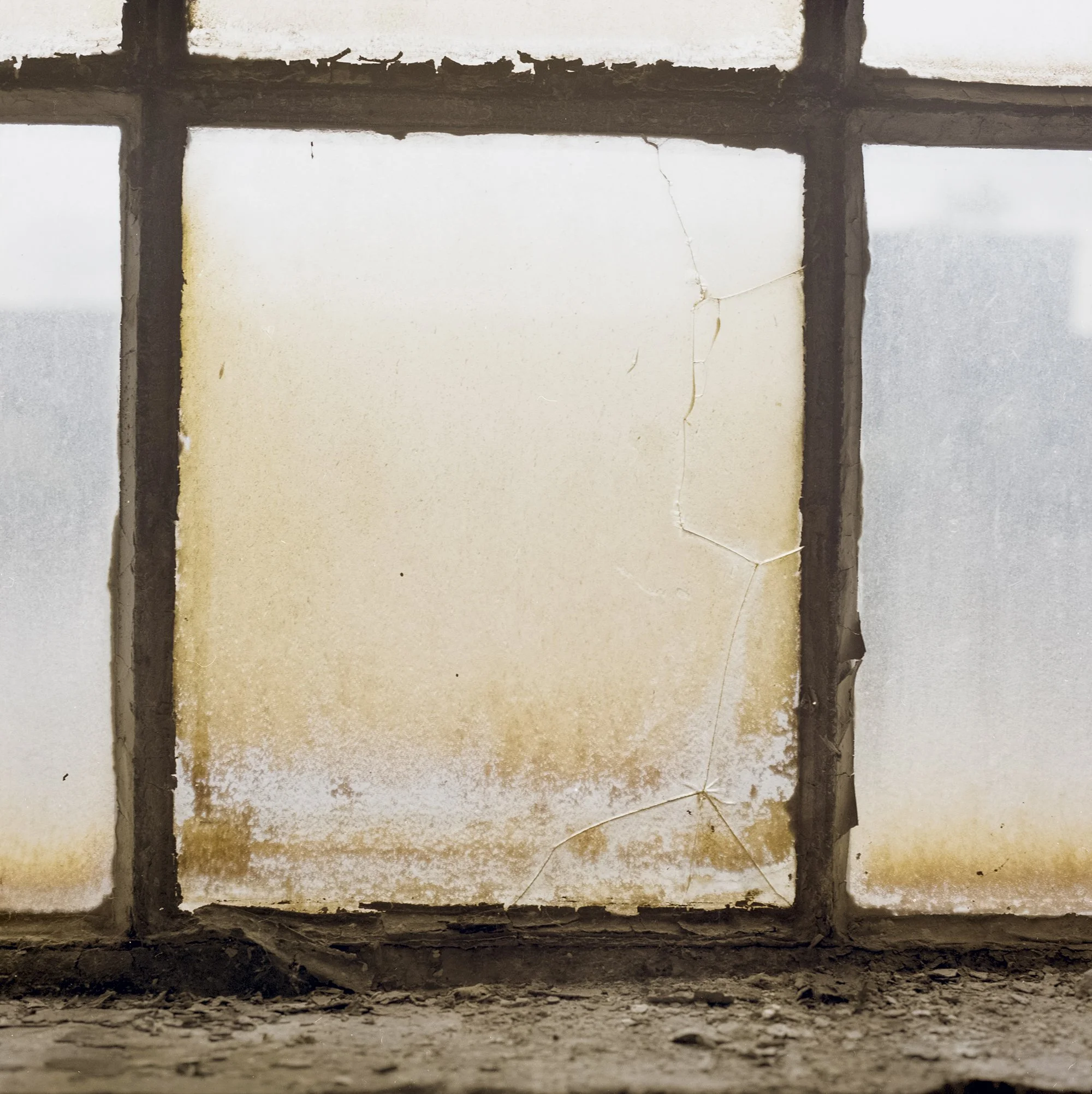    Untitled #102 Wittenberg,  2023                            ‍                                                                             C-print, 20.2 × 20.2 cm  From the series  Fremde Schönheit  (2015– ) and  Sentimental Geography  (2019– ) 