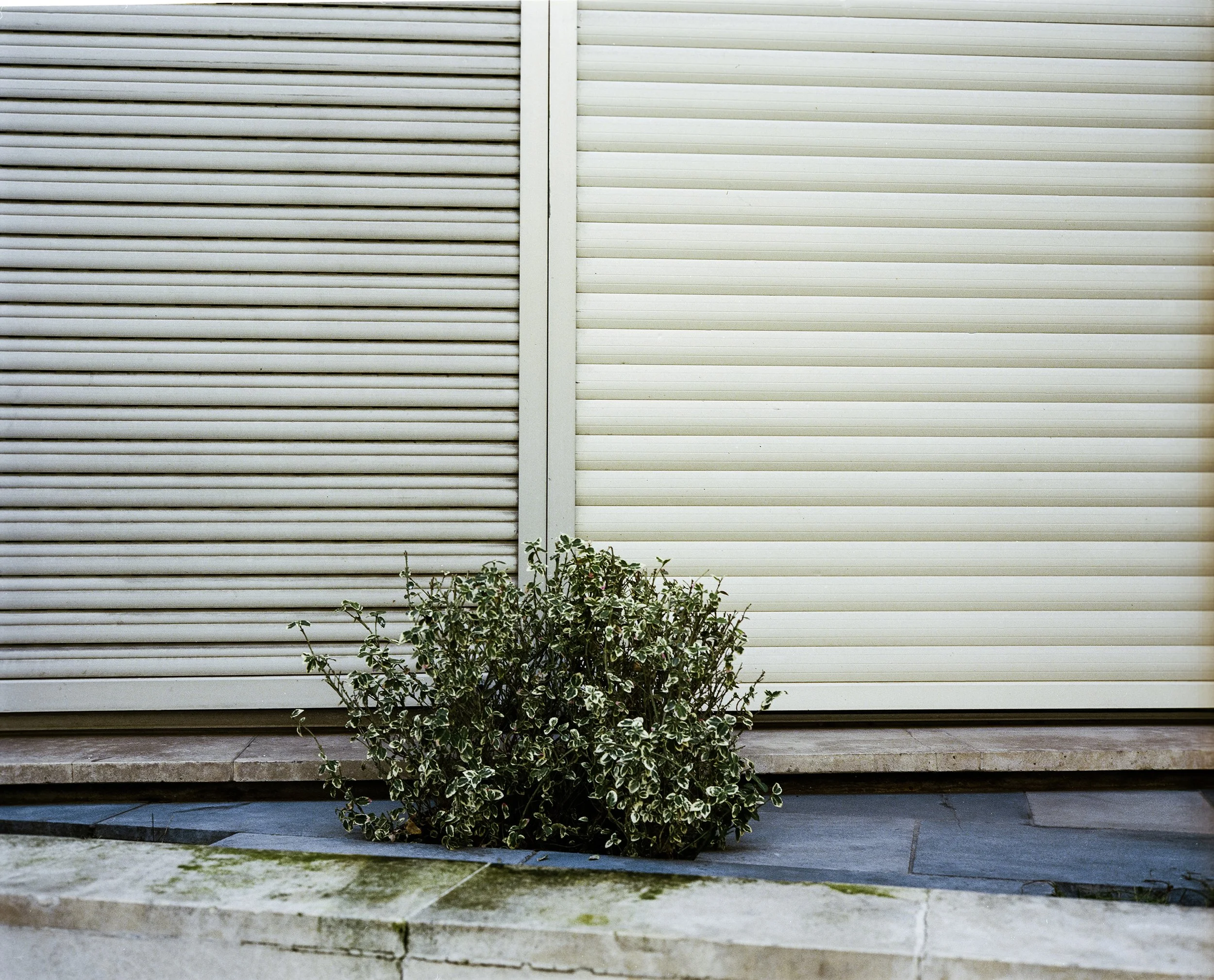    #14 Paris,  2026                                                                                                       C-print, 20.3 × 25.4 cm  From the series  Symphonie der Städte  (2025– ) 