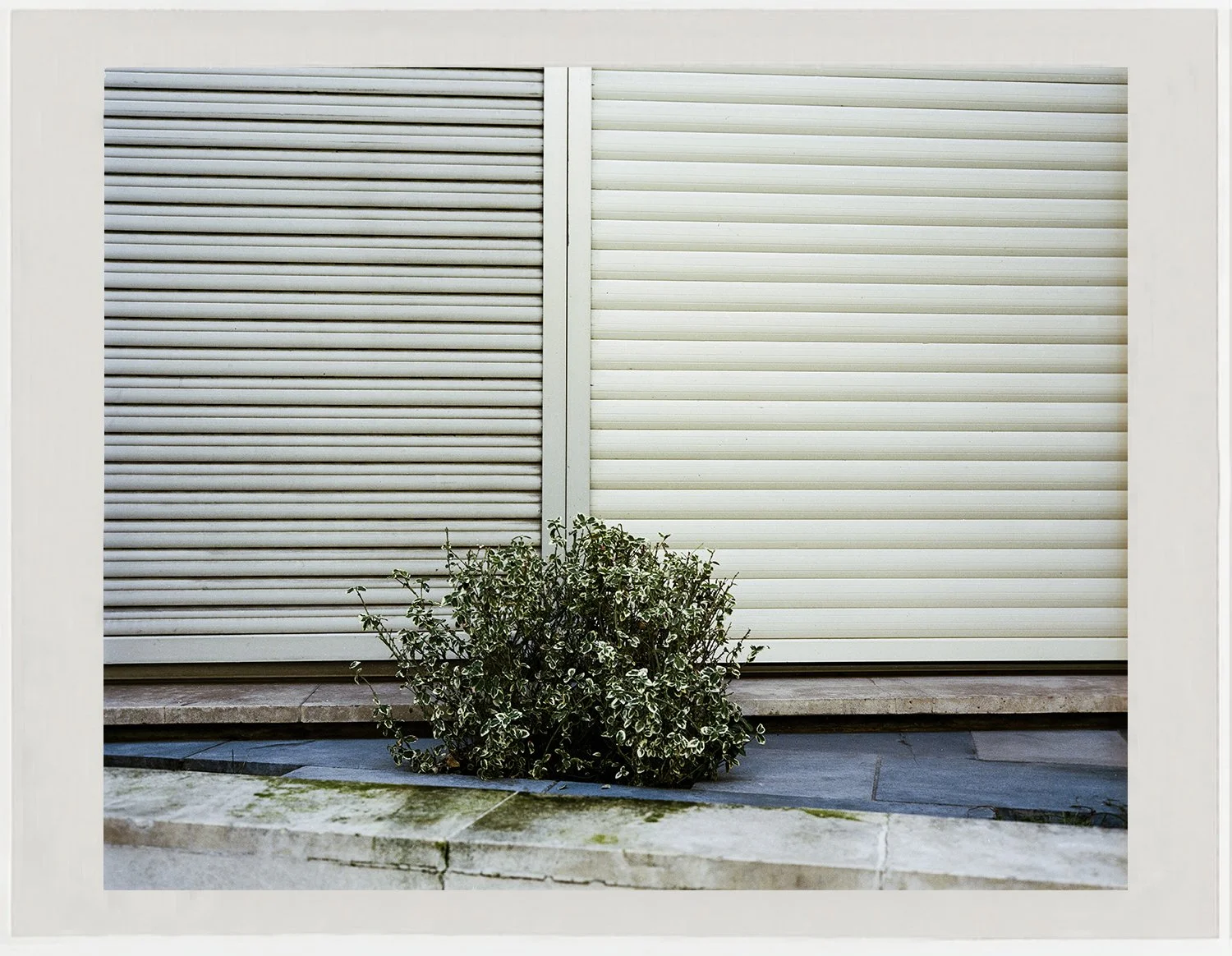    #14 Paris,  2026                                                                                                       C-print, 20.3 × 25.4 cm  From the project  Symphonie der Städte  (2025– ) 