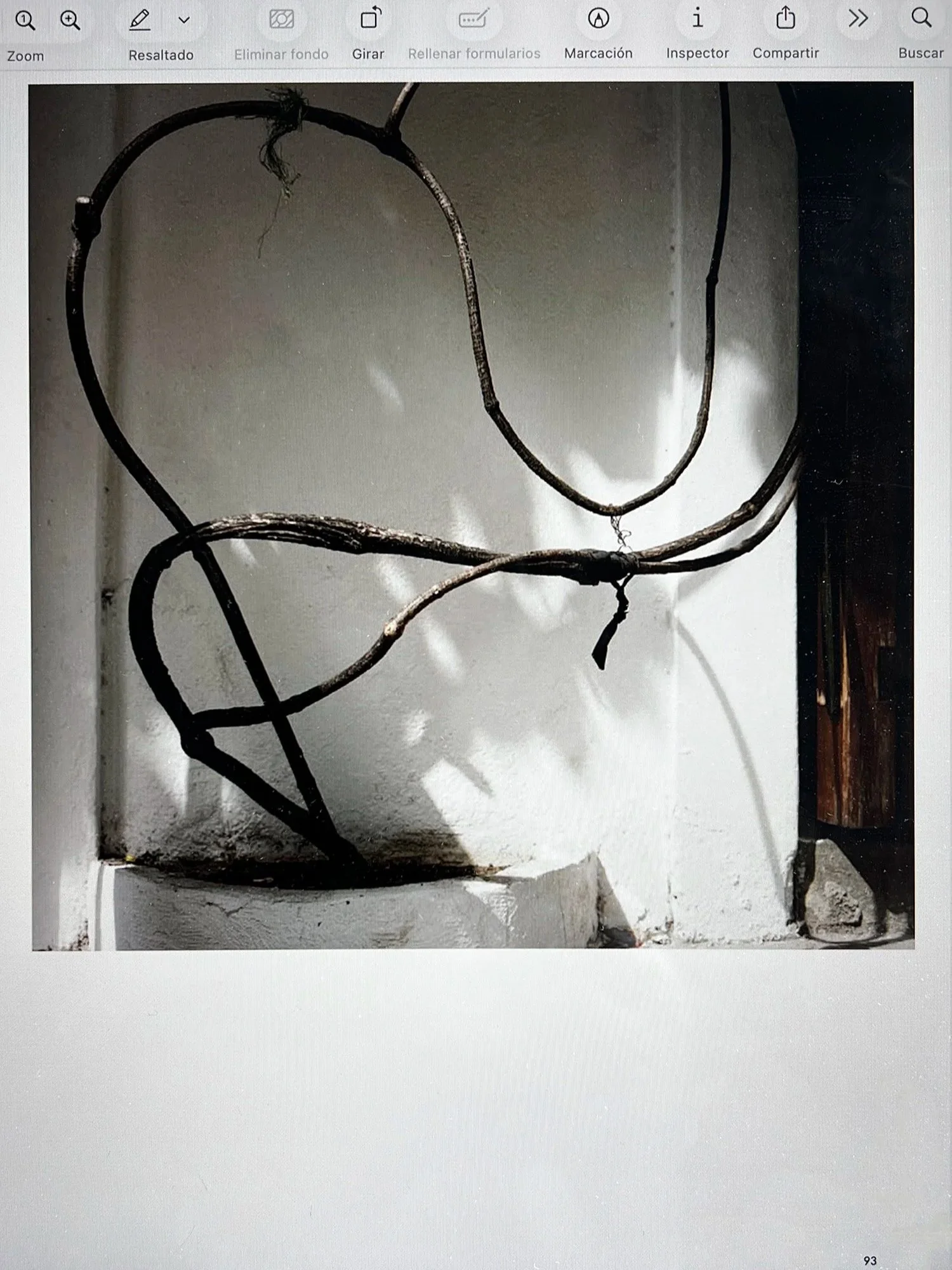    Cartagena de Indias, Colombia , 2026                                                                   Aerial roots, editorial screenshot                                                                               Holiday Magazine Nr. 398  