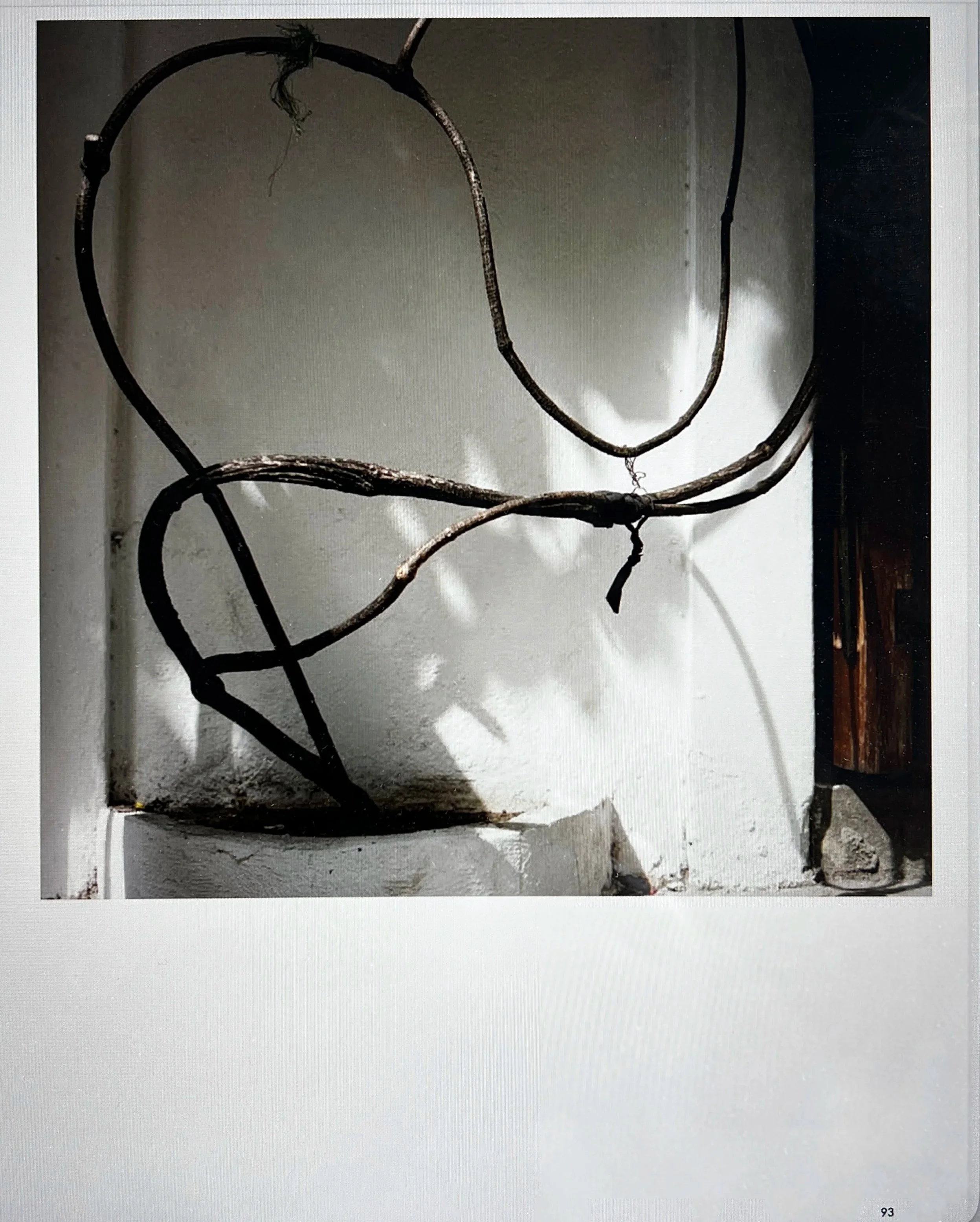  archive: editorial screenshot / aerial roots / Cartagena de Indias, Colombia, 2026 / published in  Holiday Magazine  Nr. 398 