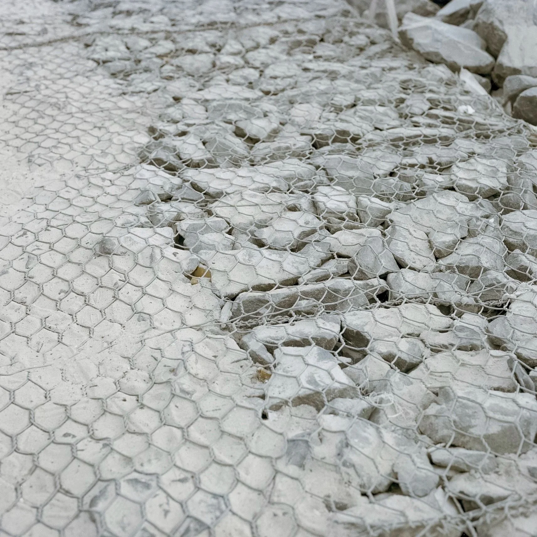    Untitled #175 Saint-Louis,  2023                            ‍                                                                             C-print, 20.2 × 20.2 cm                                                                                From t