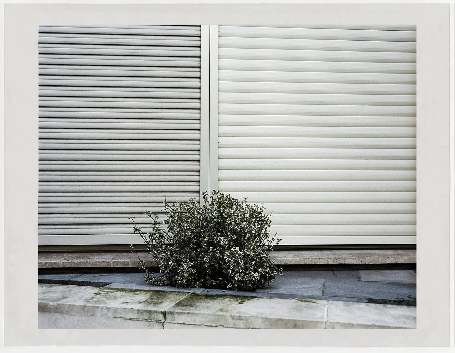    #14 Paris,  2026                                                                                                       C-print, 20.3 x 14.7 cm  From the project  Rue de l’Université  (2025—) 