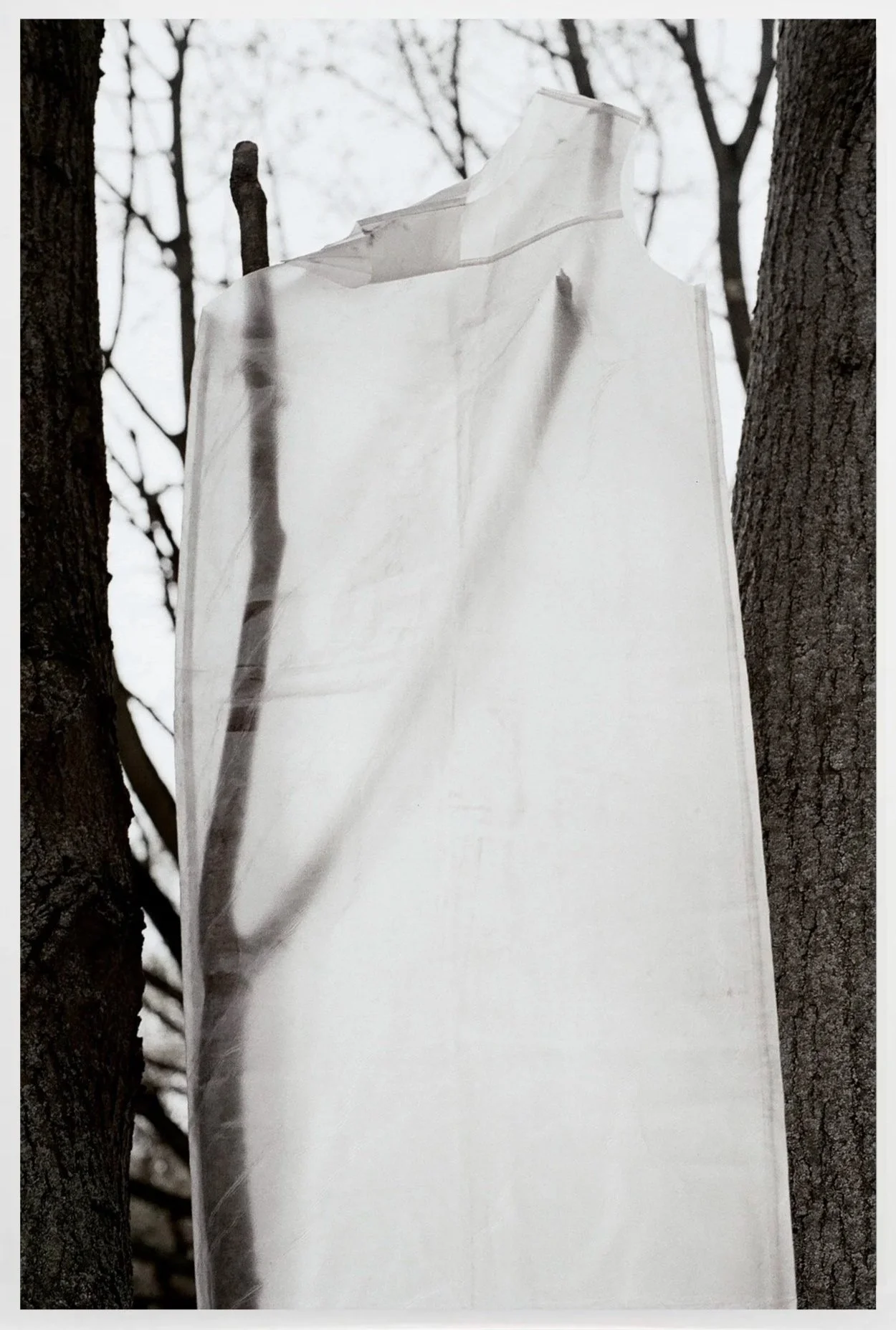    Untitled #12 Berlin,  2026  ‍   ‍                                                                                    ‍ C-print, 15 × 10 cm       ‍                                                                              ‍ Kostas Murkudis with 