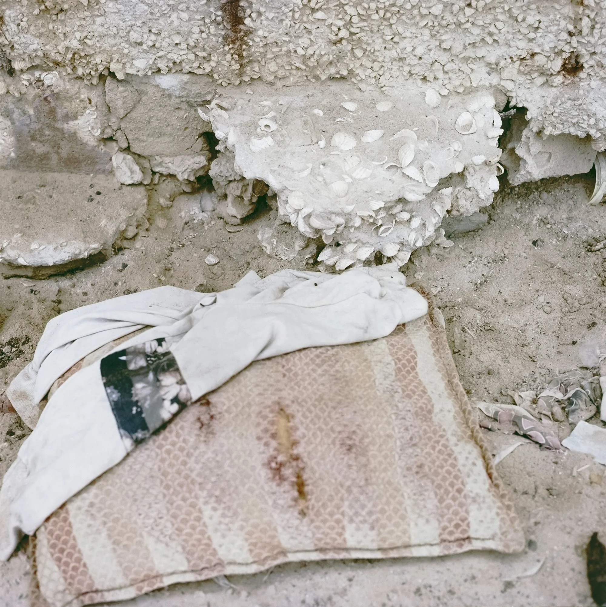    Untitled #70,  2023  C-print, 20.2 × 20.2 cm  