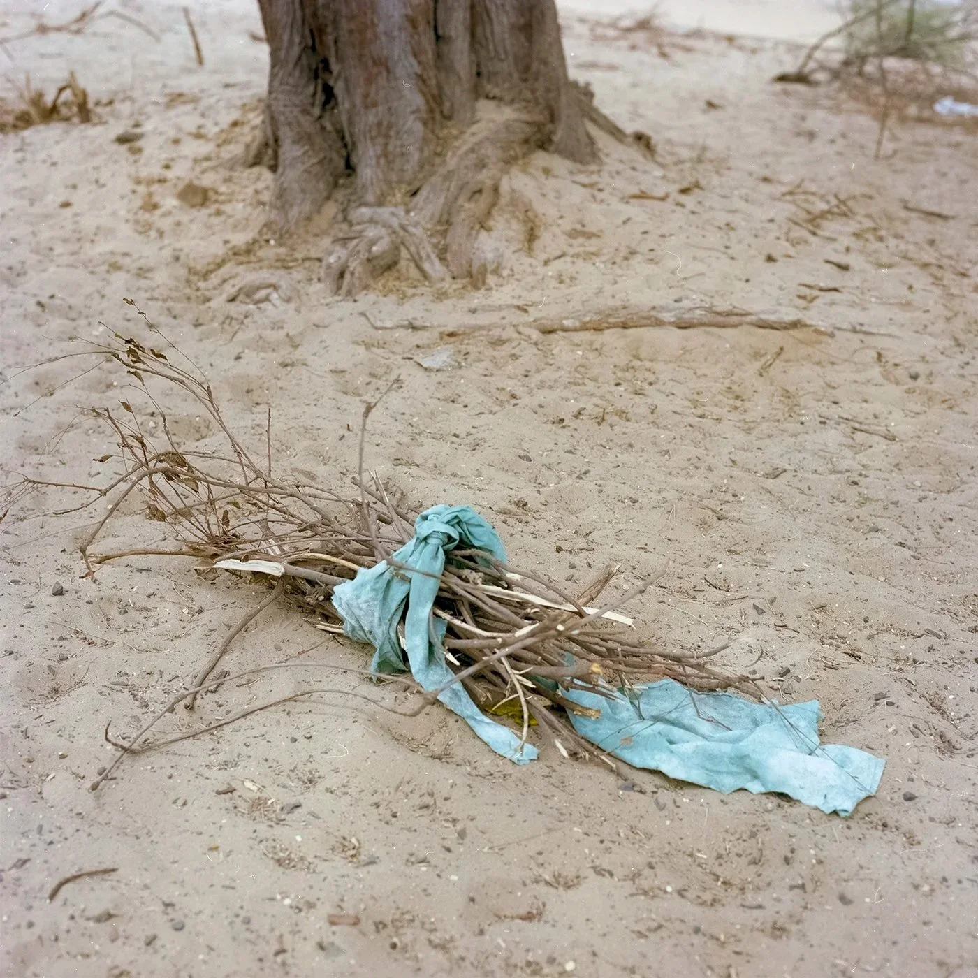    Untitled #56,  2023  C-print, 20.2 × 20.2 cm  