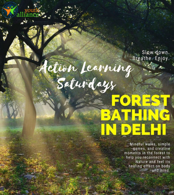 Forest Bathing | Action Learning Saturday 