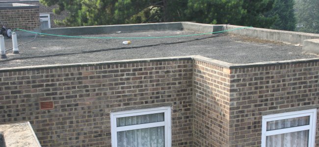 Wallington main pic1.jpg