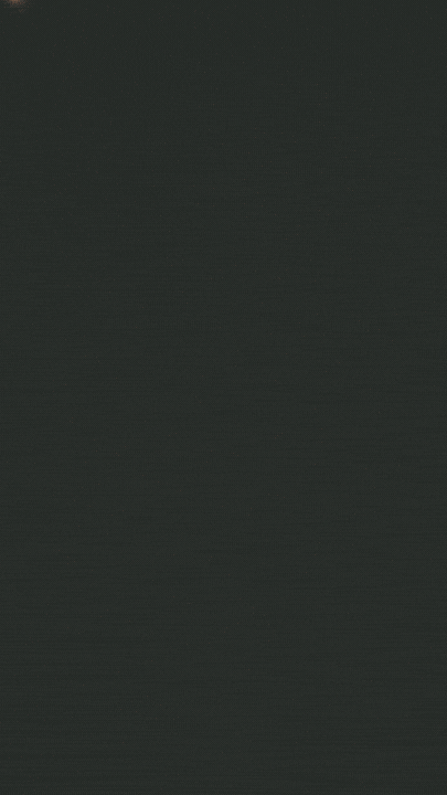 100Vic_Ident1.gif