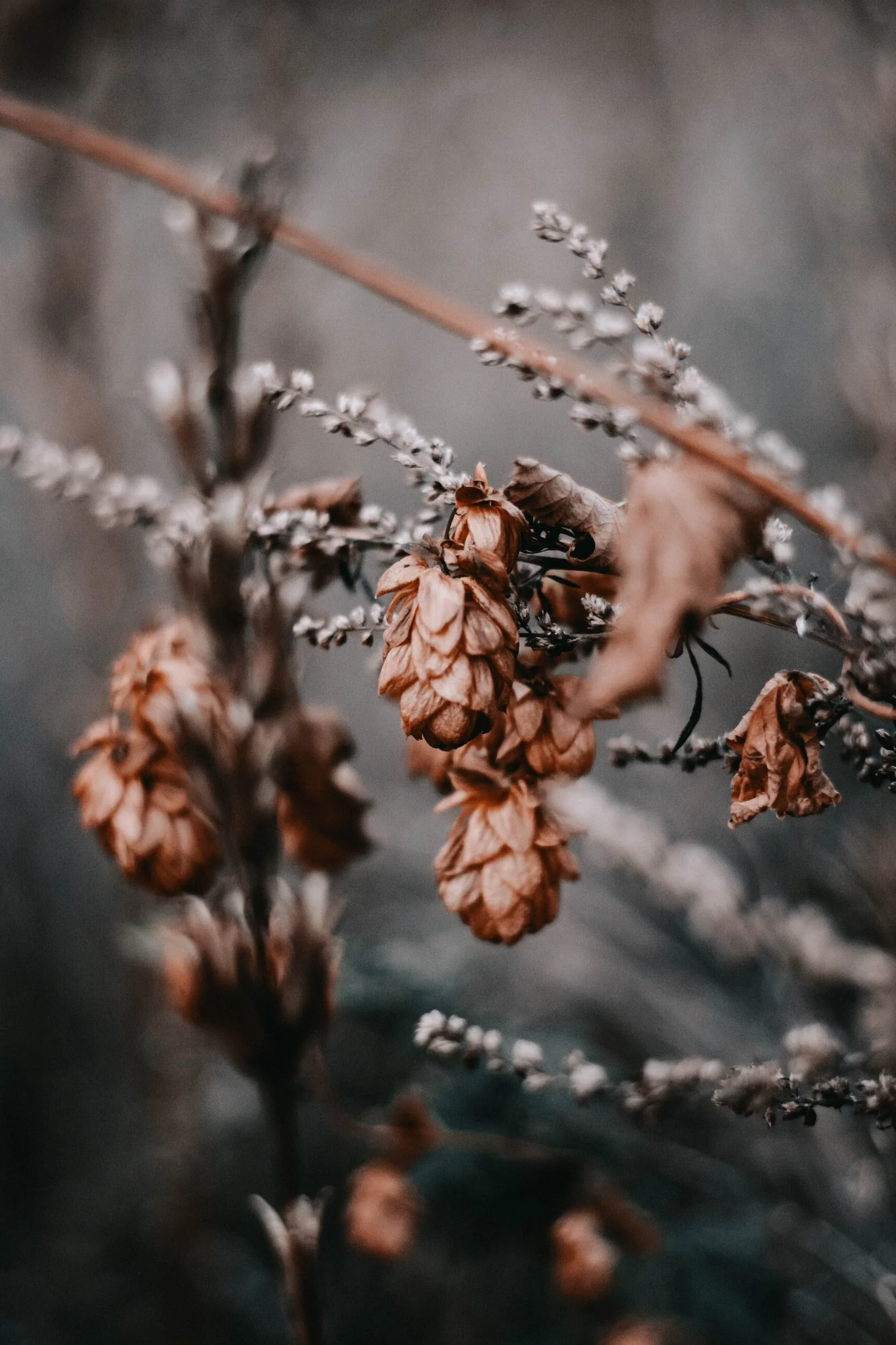 Healing Stress and Anxiety
