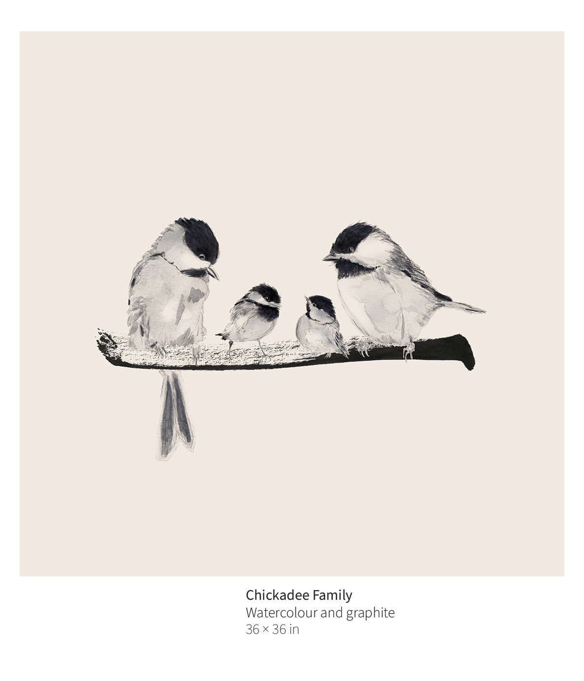 bird-009-chickadee-family-annotated.jpg