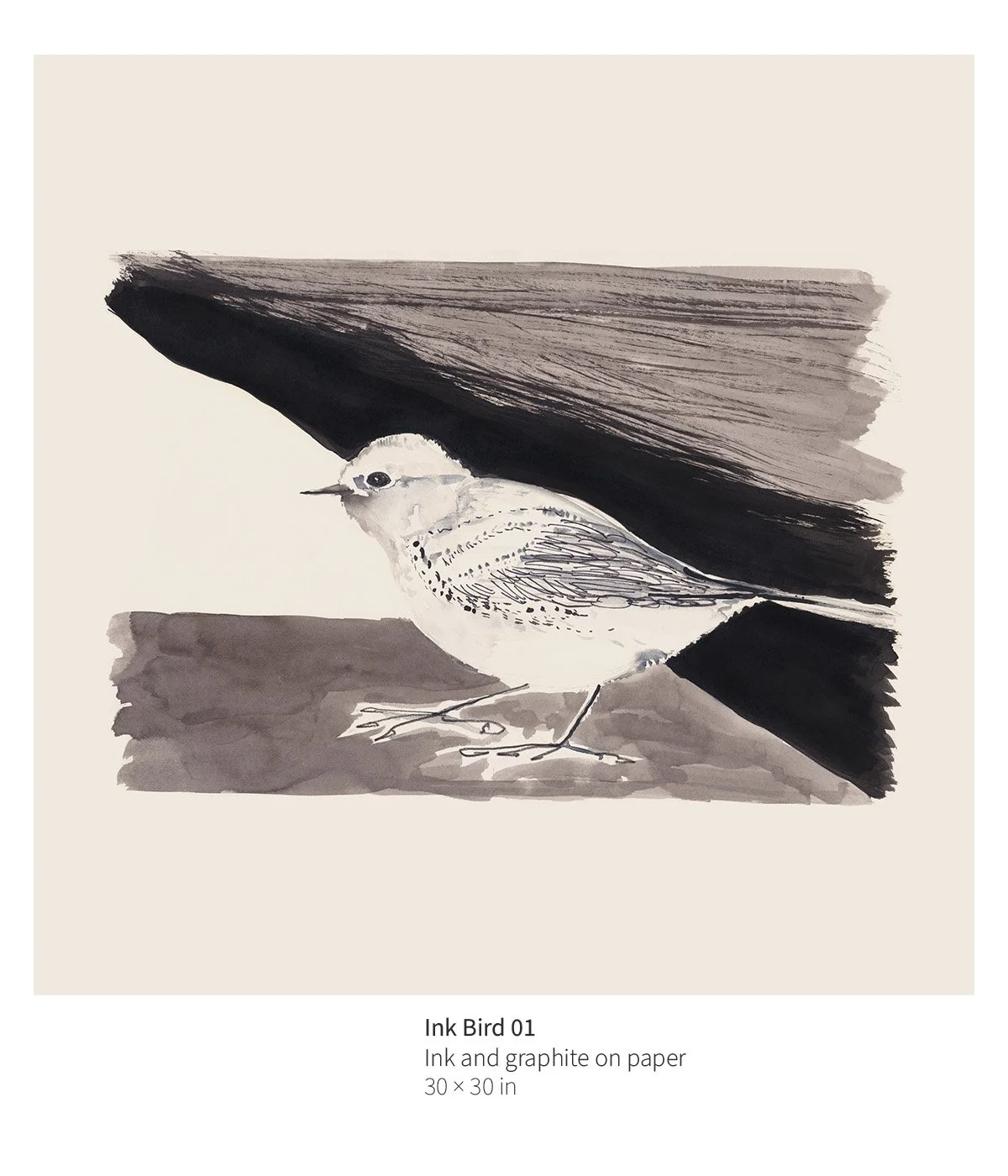 bird-007-ink-bird-i-annotated.jpg