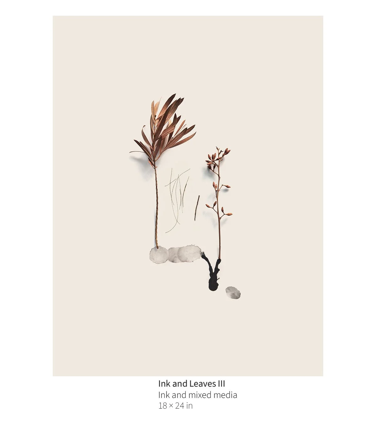 bot-001c-ink-and-leaves-03-annotated.jpg